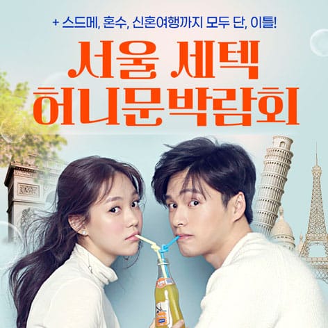 13. 서울 세텍 허니문박람회
